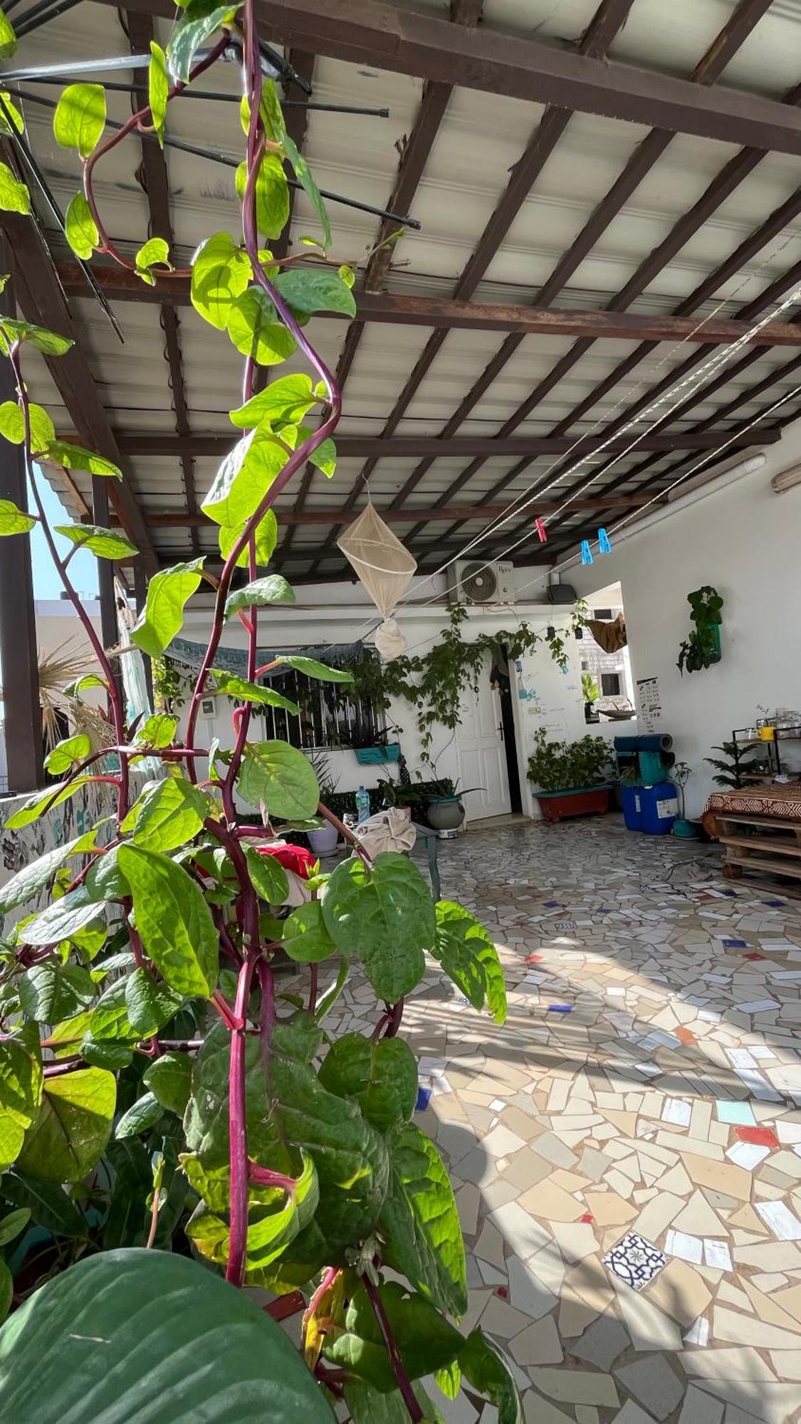 Dar Dyali Rooftop ⁿᵉᵃʳ ⁿᵍᵒʳ ᵇᵉᵃᶜʰ ᵃⁿᵈ ⁱˢˡᵃⁿᵈ Dakar Exterior foto